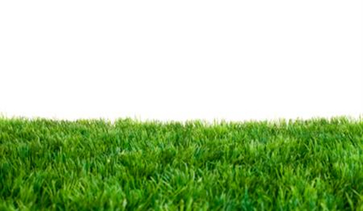 20110804_astroturf