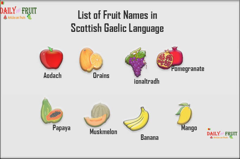 Fruit Names In Scottish Gaelic Language 