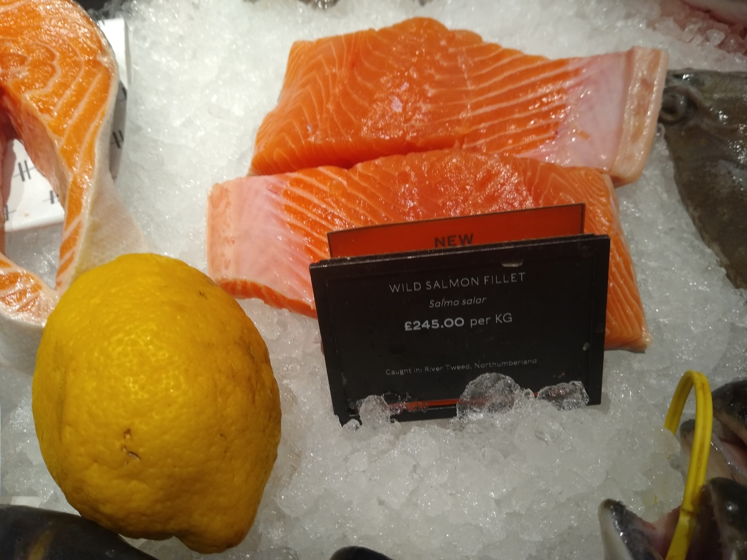 Harrods Salmon at £245 a kilo Bella Caledonia